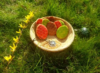 Fertige Game-of-Thrones-Kekse liegen in einem Osternest im Gras.