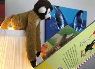 Ein Affe liest ein Bilderbuch.
